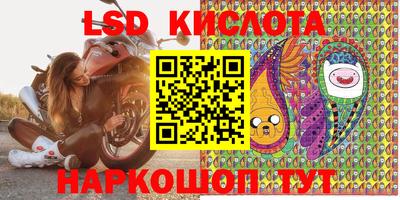 стафф Брянск