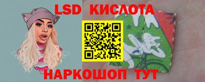 стафф Брянск