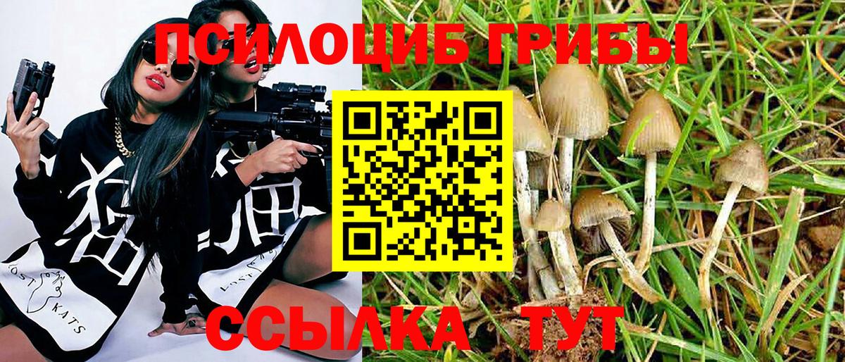 Псилоцибиновые грибы MAGIC MUSHROOMS Карталы