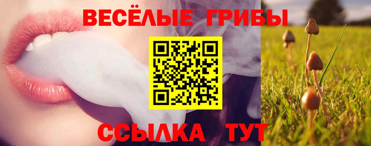 Галлюциногенные грибы Magic Shrooms  Галлюциногенные грибы MAGIC MUSHROOMS  Карталы  Вход с VPN 
